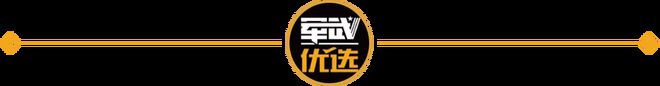 1小时歼-10CP如何在160公里外精准射杀？j9国际印巴空战最新战果！125架战机厮杀激烈(图17)