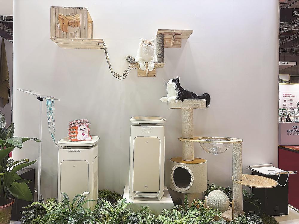 会赢”遇上“进博机遇”九游会j9登陆当“敢拼(图2)