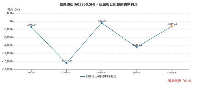“爽约”哈森股份信披违规再收警示九游会六